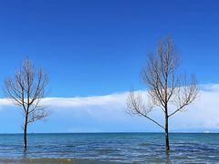 -青海湖国家重点风景名胜区