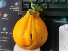 -LYFATTI 莱芙缇(赣水路店)