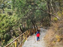 -北京上方山国家森林公园