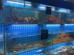 -鸽子侯·家宴·平价海鲜(市图书馆店)