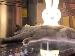 -咖法森林·咖啡  酒吧(天河店)