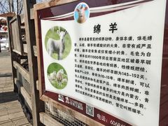 -北京鹿世界主题园
