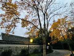 -慈城古县城景区