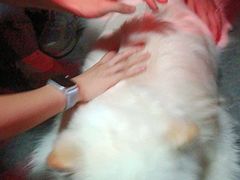 -剧狐剧本杀(徐汇1号店)