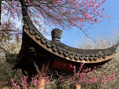 -杭州植物园