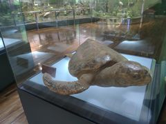 -陕西自然博物馆