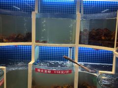 -指爱龙虾(金杨路总店)
