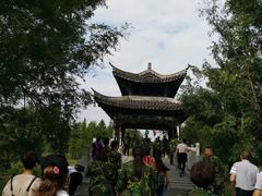 -梁鸿国家湿地公园