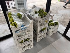 -马陆小张葡萄园农家乐