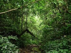 -西双版纳基诺山寨