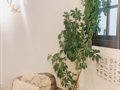 -dokidoki