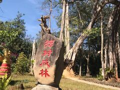 -瑞丽独树成林风景区