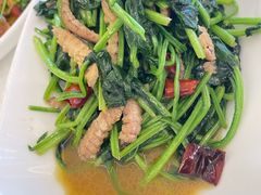 -双井轩(双井店)