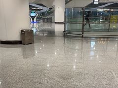 -麦当劳(北京大兴机场二层国内到达(安检外)店)