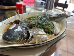 -食德喜·阳山鸡王食研基地