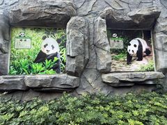 -柳州市动物园