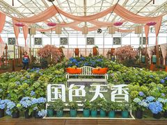 -盈香心动乐园