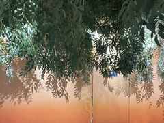 -澳骄 Aussie Kitchen·手工披萨·西餐(国大店)