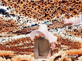 北京看展|梵高的向日葵