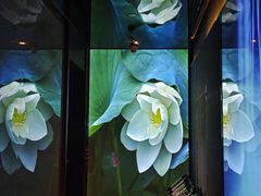 -新盈光·心院(嘉恒广场店)
