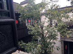 -西塘古镇-倪宅