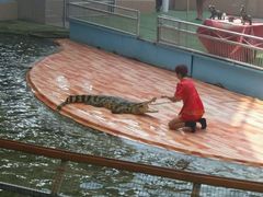 -北戴河圣蓝海洋公园