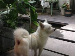 -绿房子方寸咖啡(星海名城店)