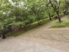 -南山植物园