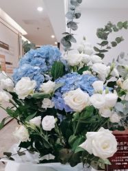 -加减美医美连锁品牌