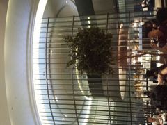 -洲际酒店·地平线全日餐厅HORIZON CAFÉ