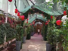 -正佳雨林生态植物园