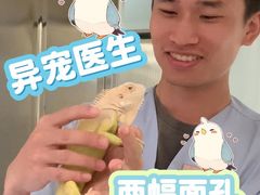 -立德动物医院·异宠·CT·鹦鹉(天河店)
