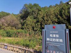 -延安杨家岭革命旧址