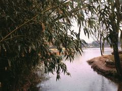 -郑州植物园