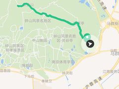 -紫金山山顶公园