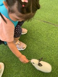 -萌宠亲子动物乐园(槐房万达店)