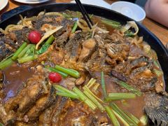 -老板恋上鱼(恒隆广场店)