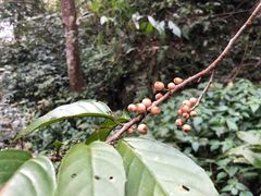 -桂林资江天门山风景区
