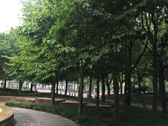 -上海南站-停车场