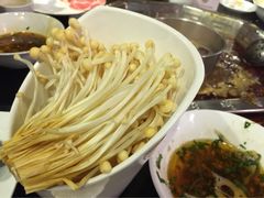 -蜀九香火锅(九眼桥店)