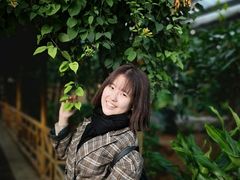 -淄博花灯齐彩城