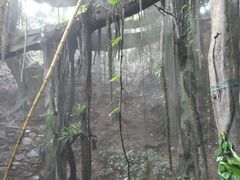 -青青世界