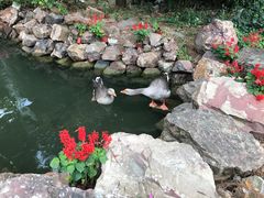 -上海虹桥迎宾馆