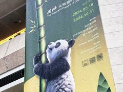 -深圳博物馆历史民俗馆
