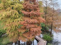 -云溪植物园