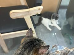 -贝利宠物医院·骨科·眼科·肿瘤转诊中心(南坪诊疗中心)
