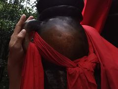 -遵义红军烈士陵园(凤凰山公园)