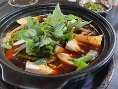 -老杨砂锅鱼庄