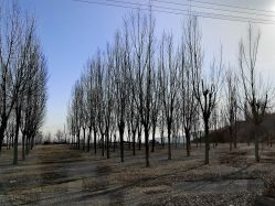 -窦王岭景区游乐场