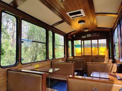 -合肥滨湖国家森林公园